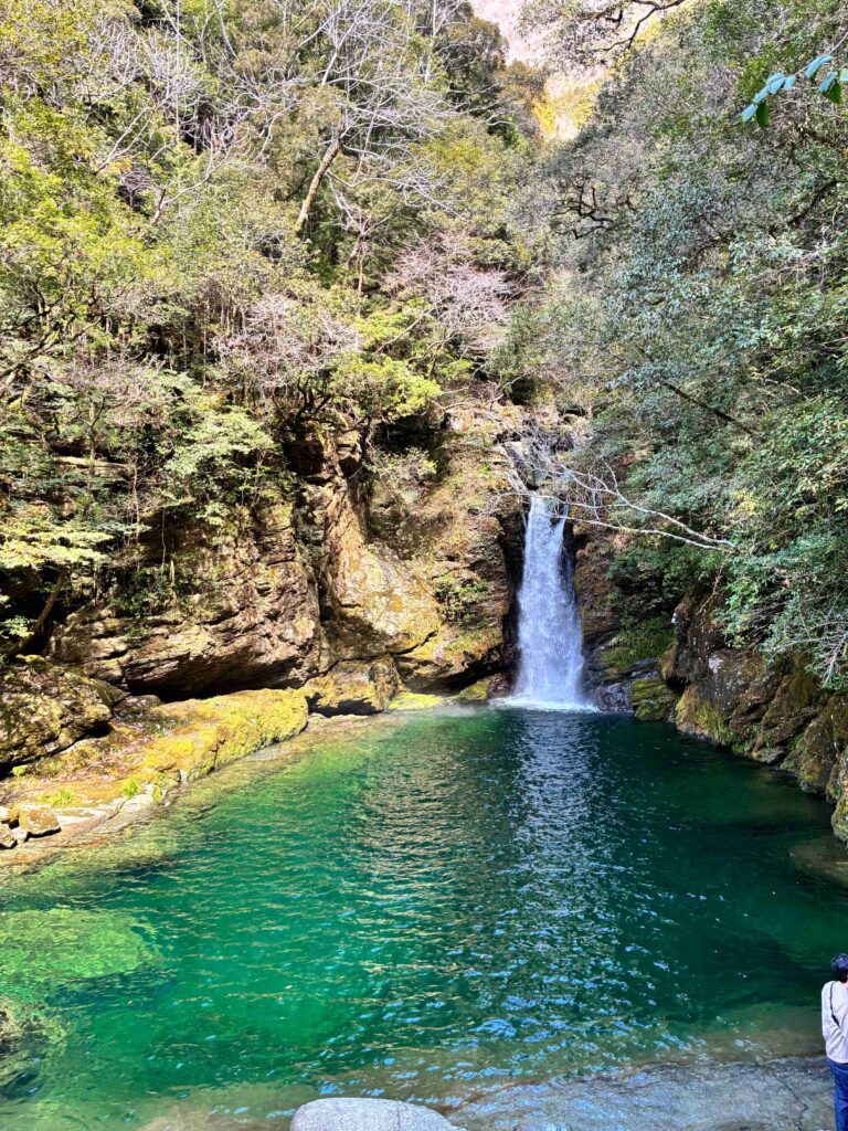 にこ淵｜緑に囲まれたターコイズグリーンの滝つぼ
